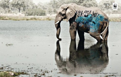 Biodiversity And Biosafety Awareness Elephant