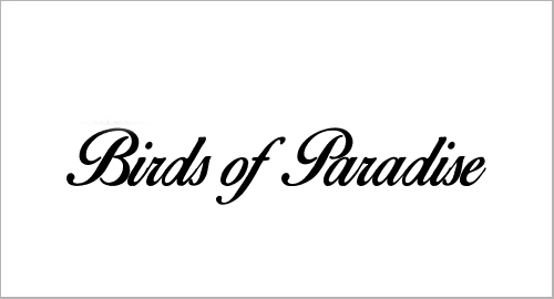 Birds of Paradise