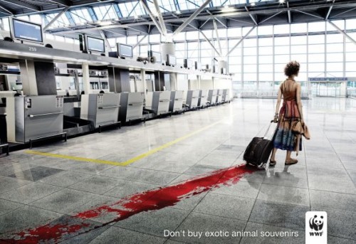 Donot Buy Exotic Animal Souvenirs