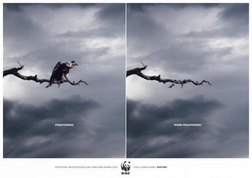 Exploiting the Ecosystem also Threatens Human Lives