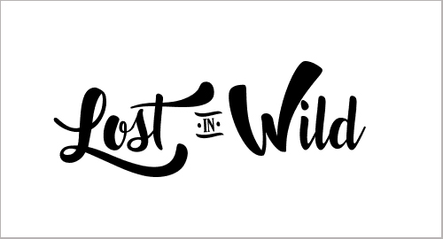 Lost in Wild