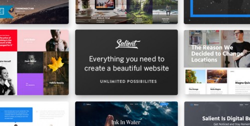 Salient - Responsive Multi-Purpose Theme